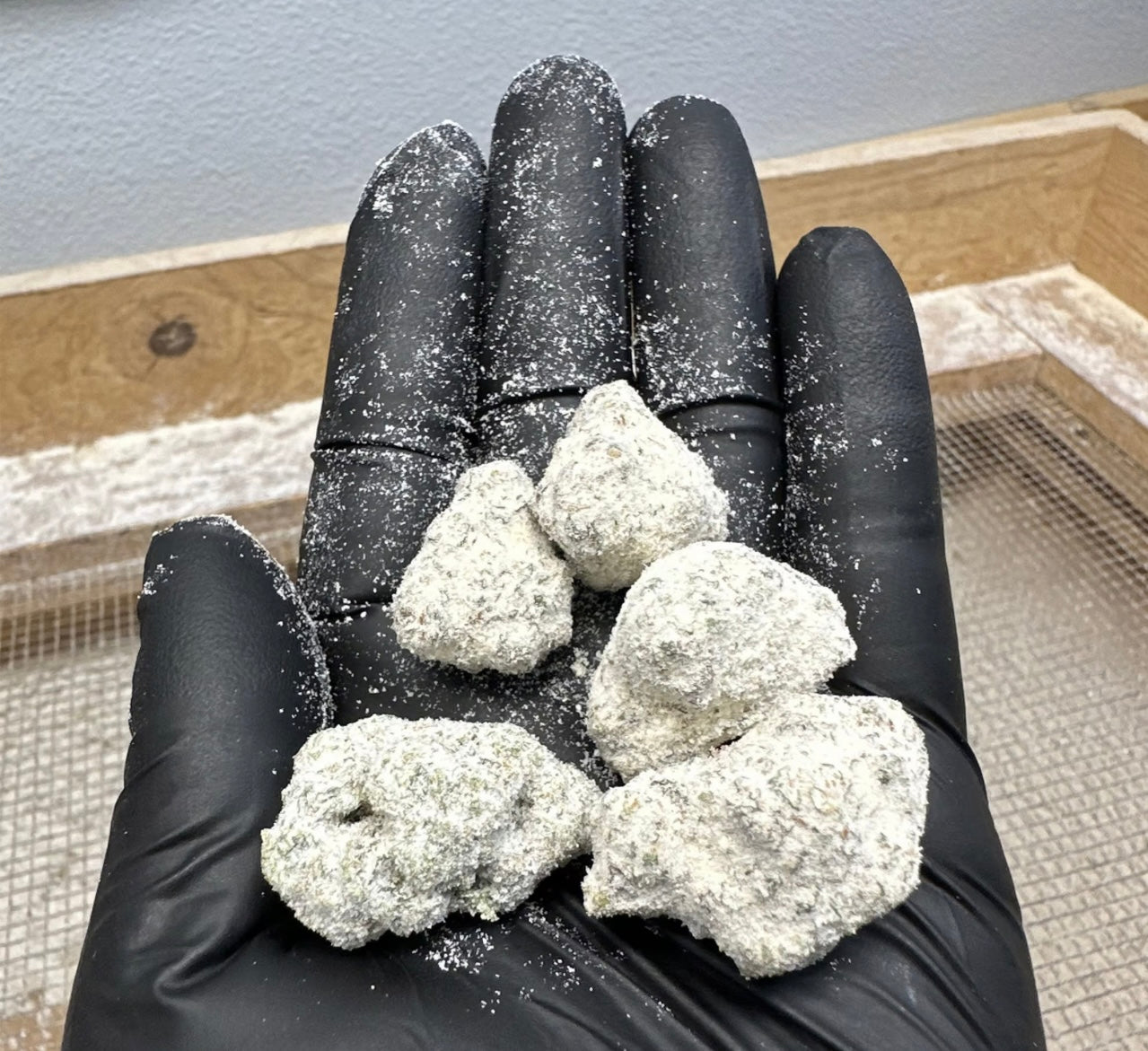 Runtz Snowcap THC Flower 3.5G